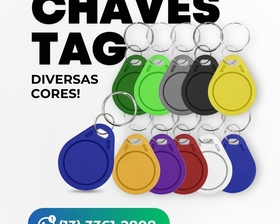 Chaveiro Universal Balula